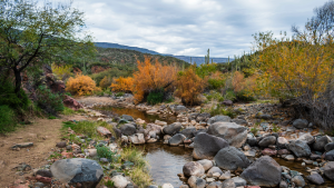 Spur Cross Ranch Conservation Area